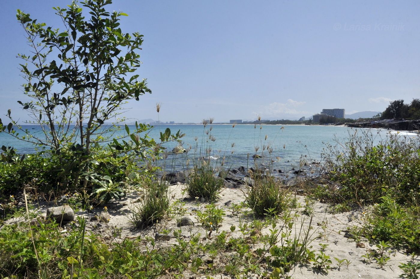 Нячанг, image of landscape/habitat.