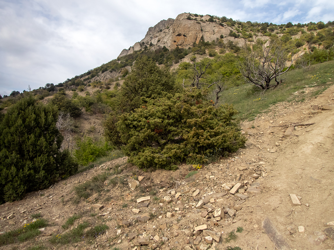 Хребет Токлук-Сырт, image of landscape/habitat.