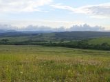 Image of landscape