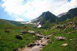 Лагонаки, image of landscape/habitat.