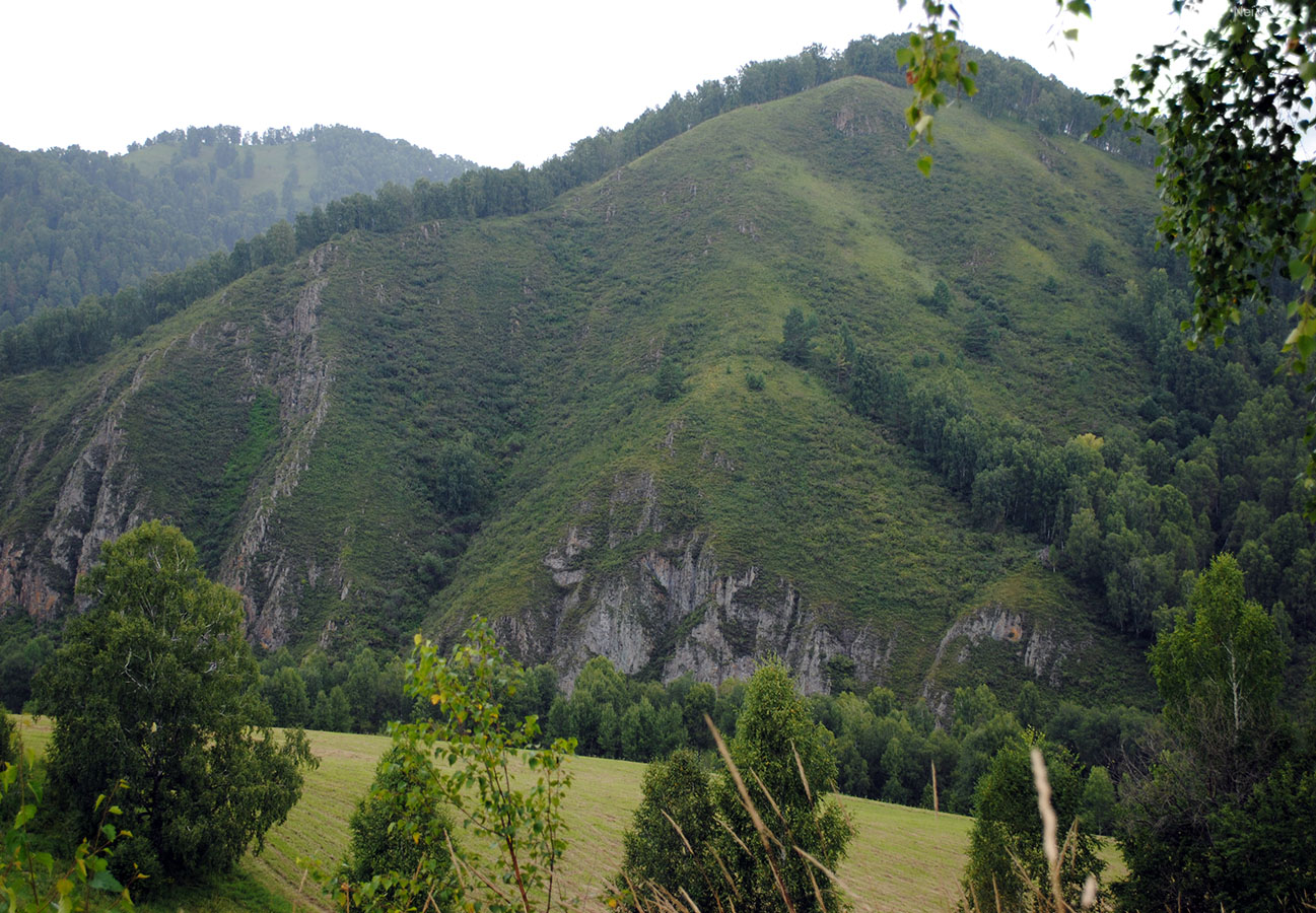 Сема, image of landscape/habitat.