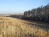 Image of landscape
