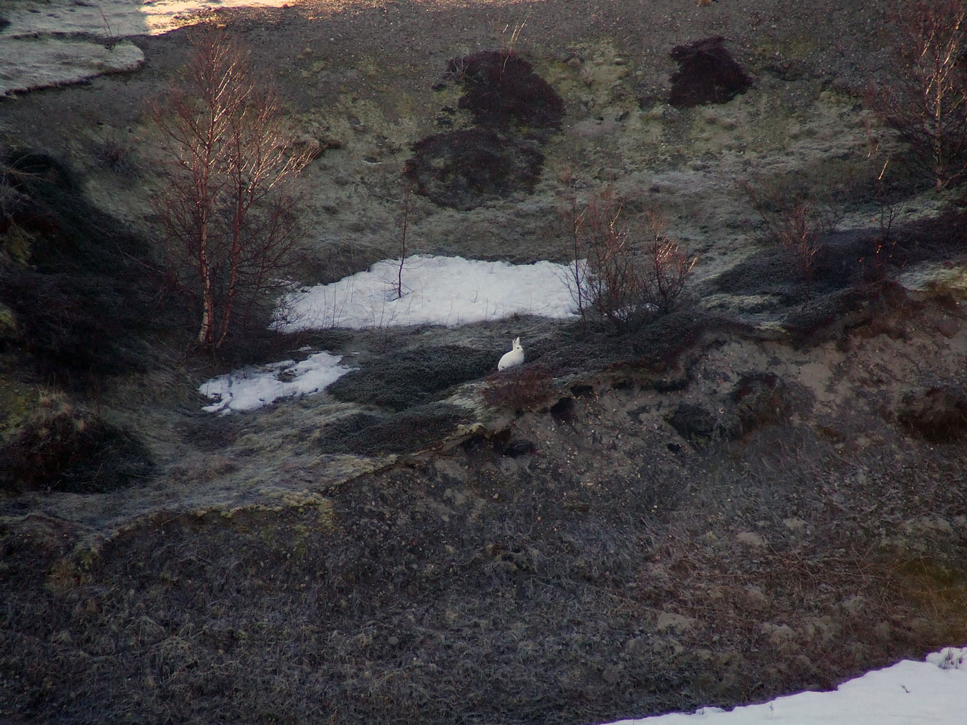 Туманный, image of landscape/habitat.