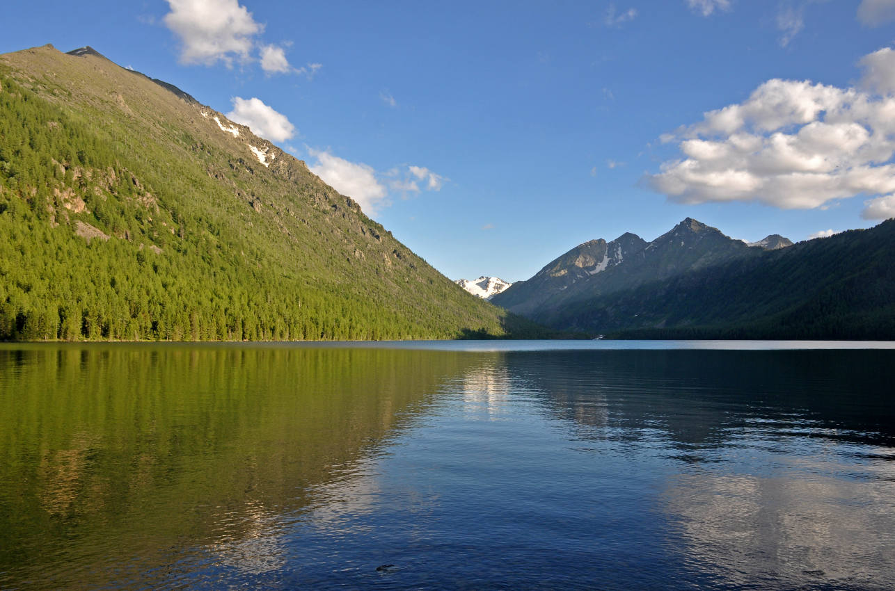 Нижнее Мультинское озеро, image of landscape/habitat.