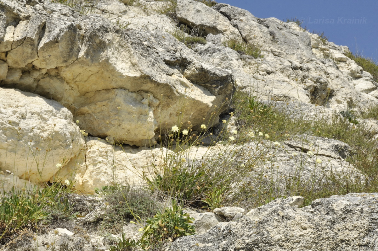 Окрестности мкр-на Пневматика, image of landscape/habitat.