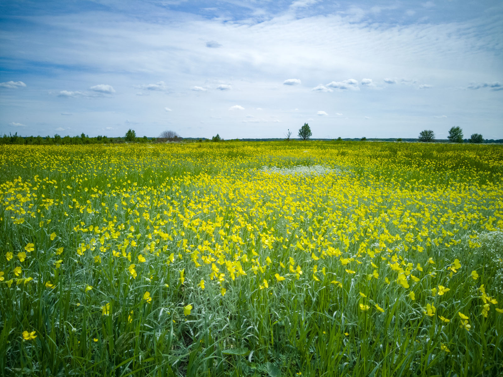 Окрестности хутора Себряков, image of landscape/habitat.