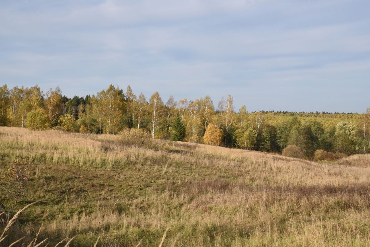 Окрестности деревни Брюхово, изображение ландшафта.