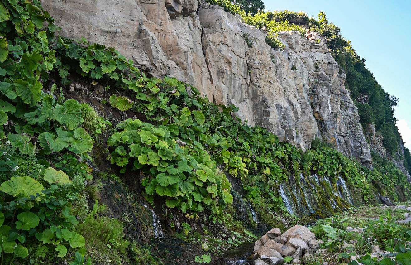 Плачущие скалы, image of landscape/habitat.