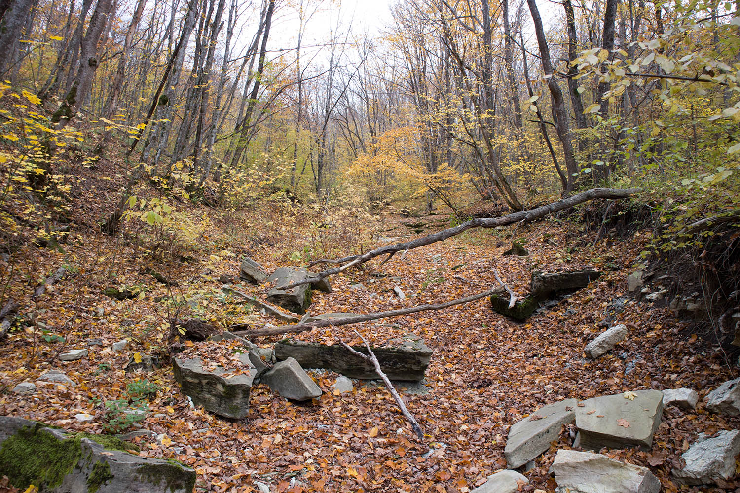 Темрючки, изображение ландшафта.