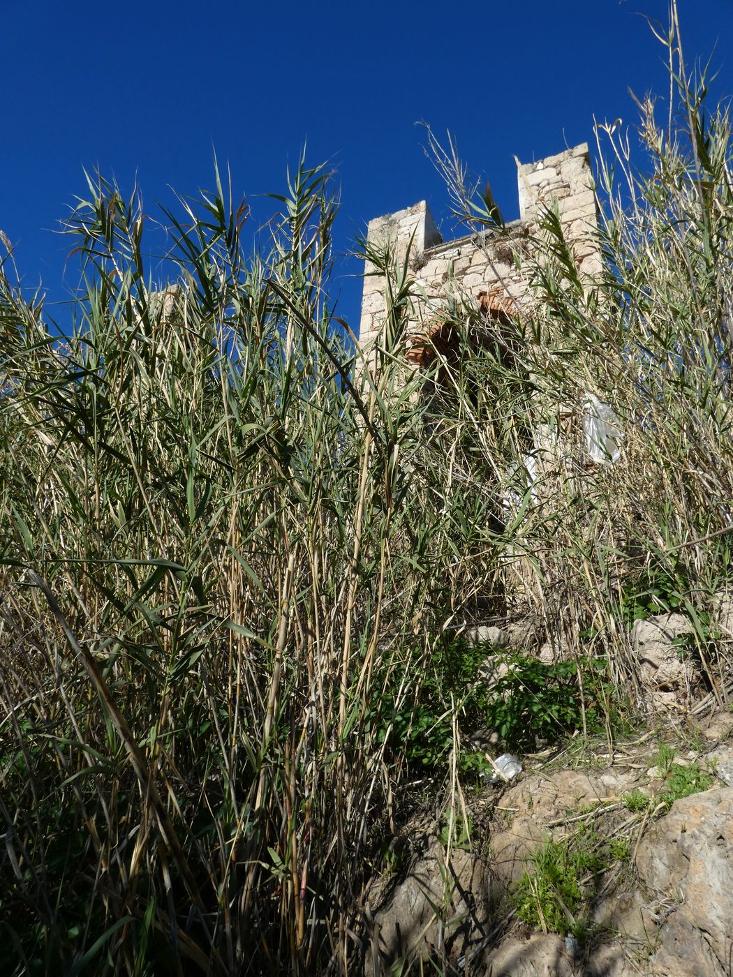 Анталья, image of landscape/habitat.