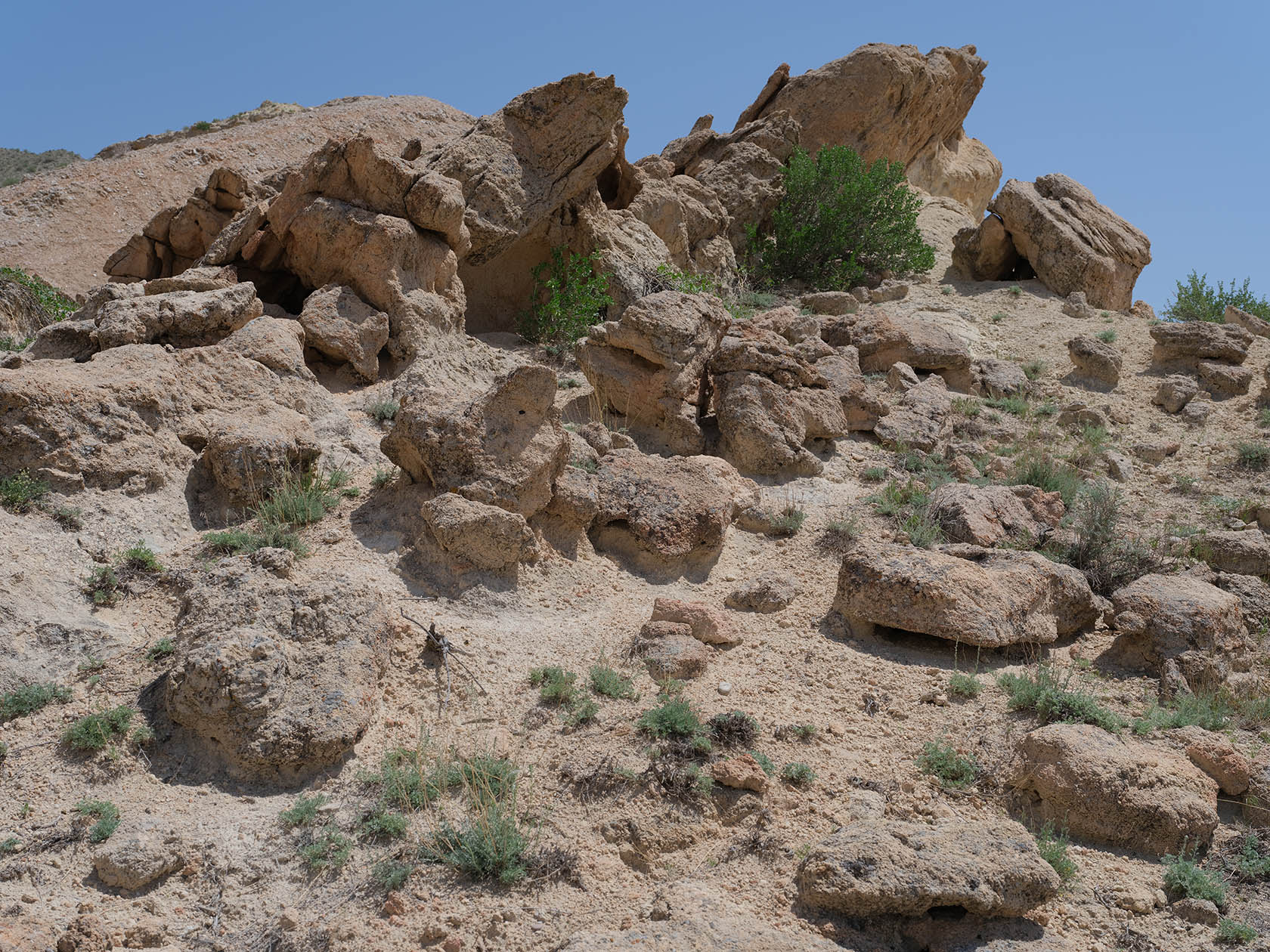 Мадыген, image of landscape/habitat.