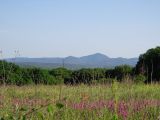 Крымск, окрестности, image of landscape/habitat.