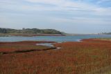 Image of landscape