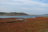 Симферопольское Водохранилище, image of landscape/habitat.