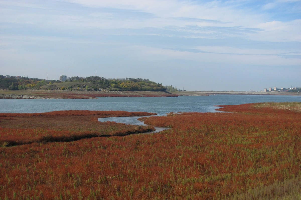 Симферопольское Водохранилище, image of landscape/habitat.