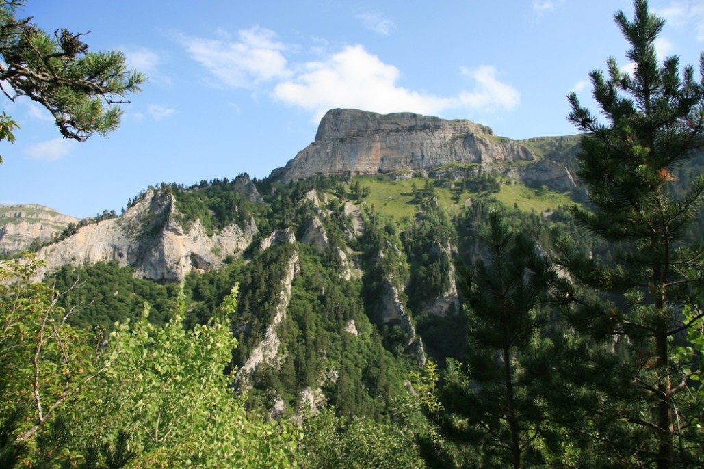 Лагонаки, image of landscape/habitat.