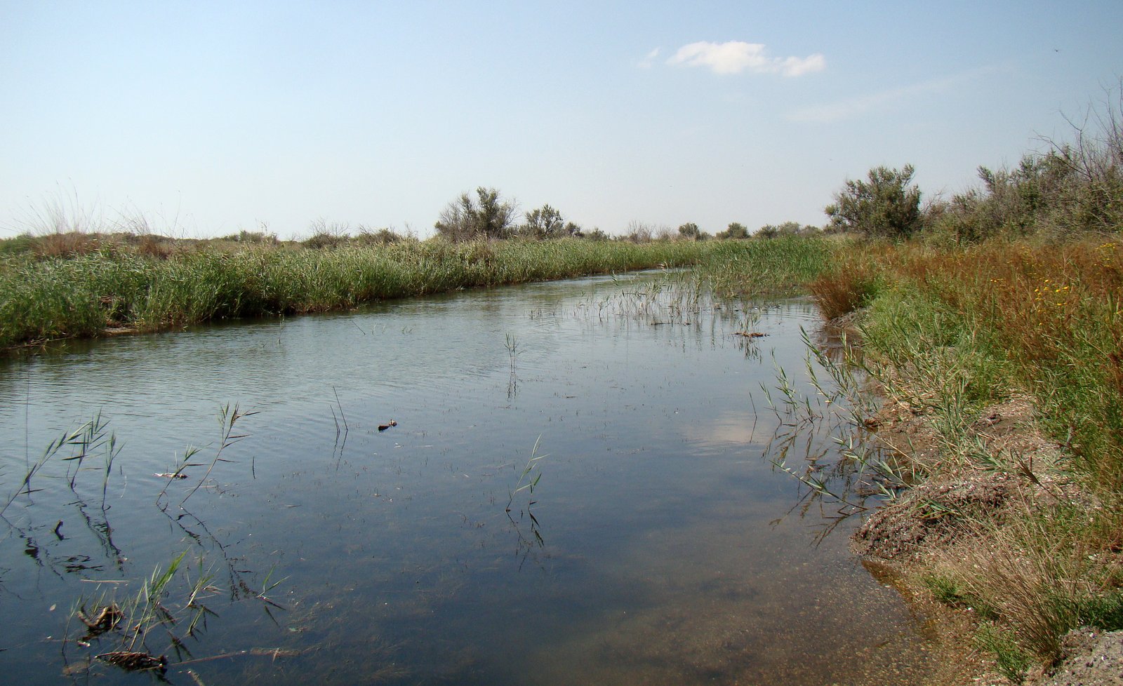 Витязевская коса, image of landscape/habitat.