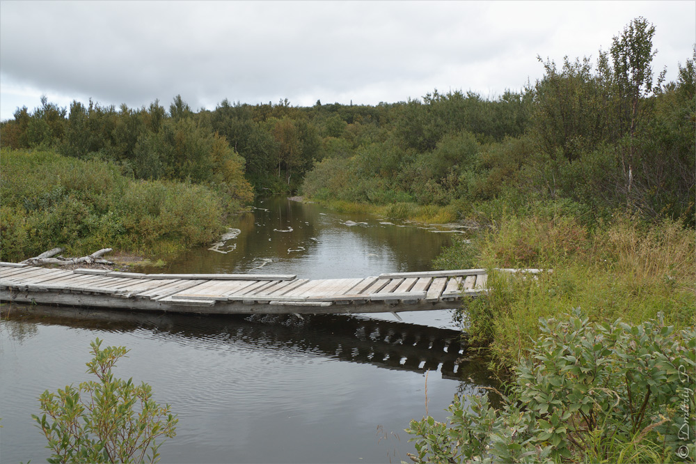 Тетрино, image of landscape/habitat.