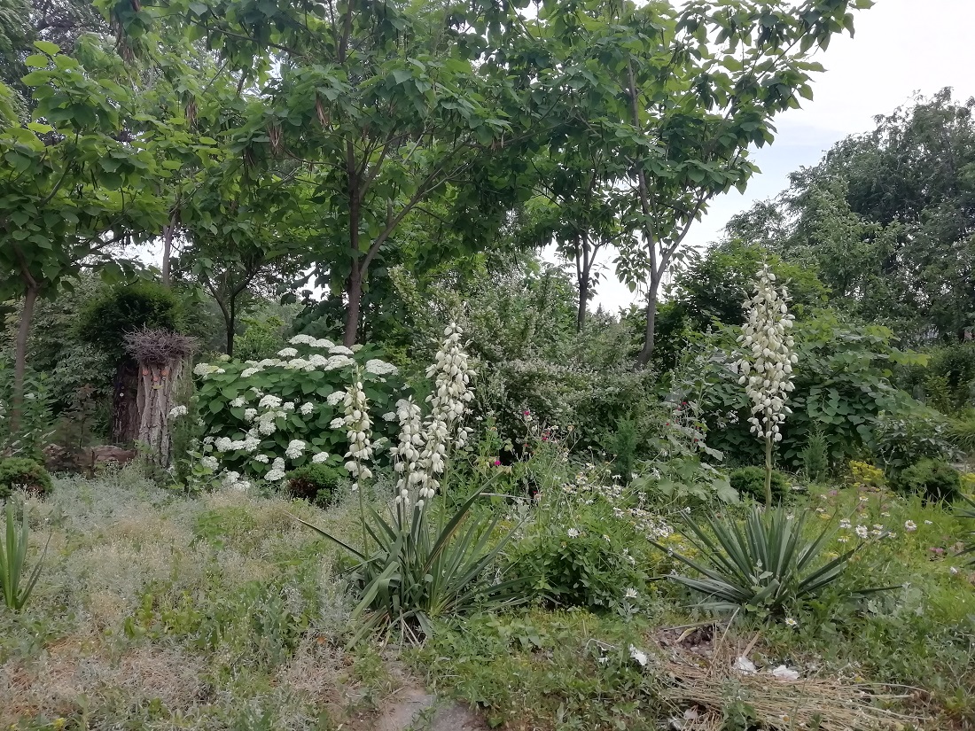 Красноармейский район Волгограда, image of landscape/habitat.