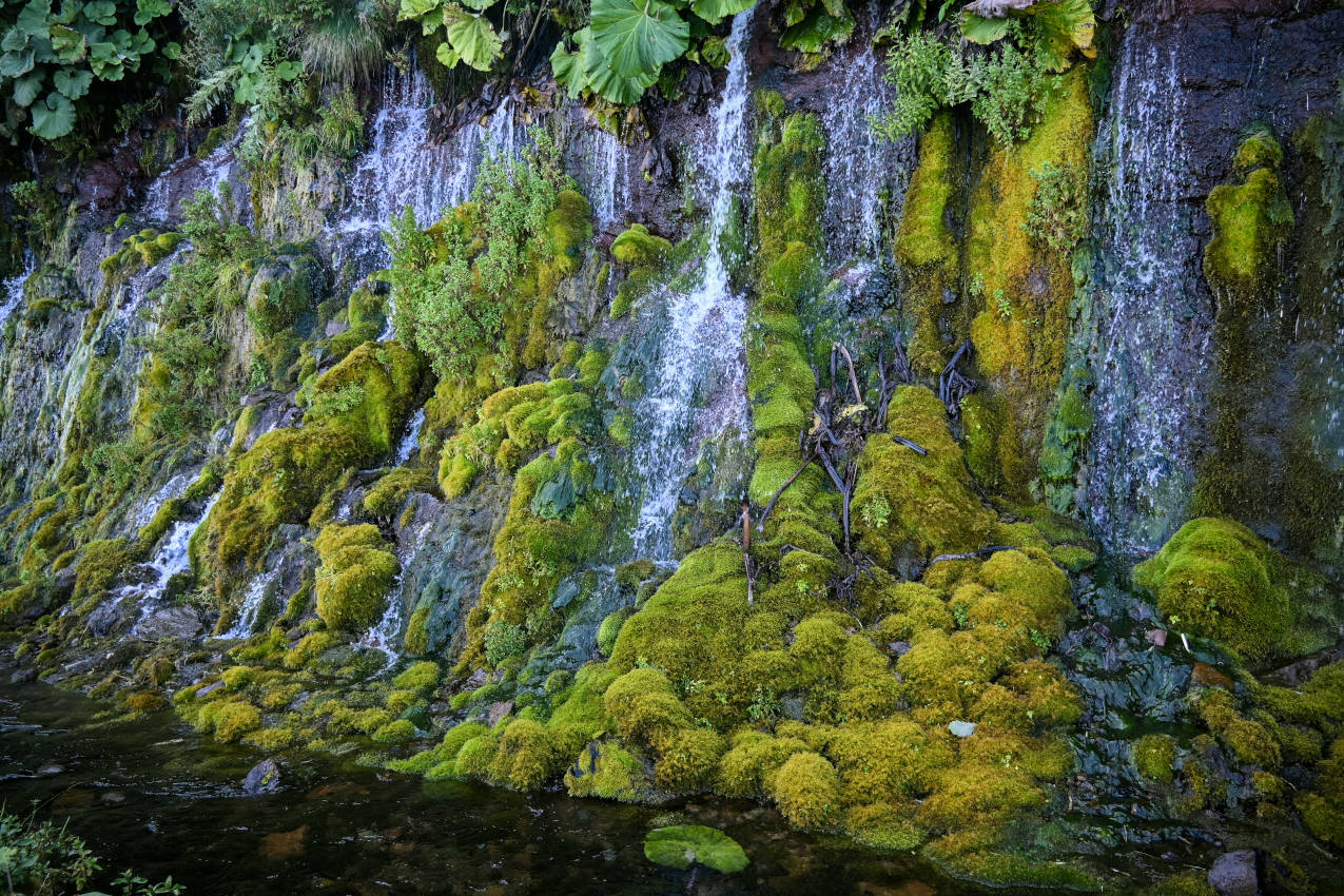 Плачущие скалы, изображение ландшафта.