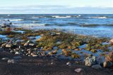 Image of landscape