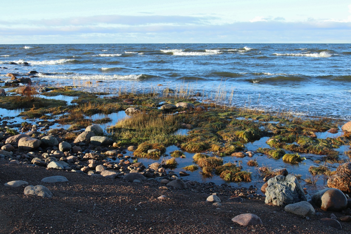 Каравалдай, image of landscape/habitat.