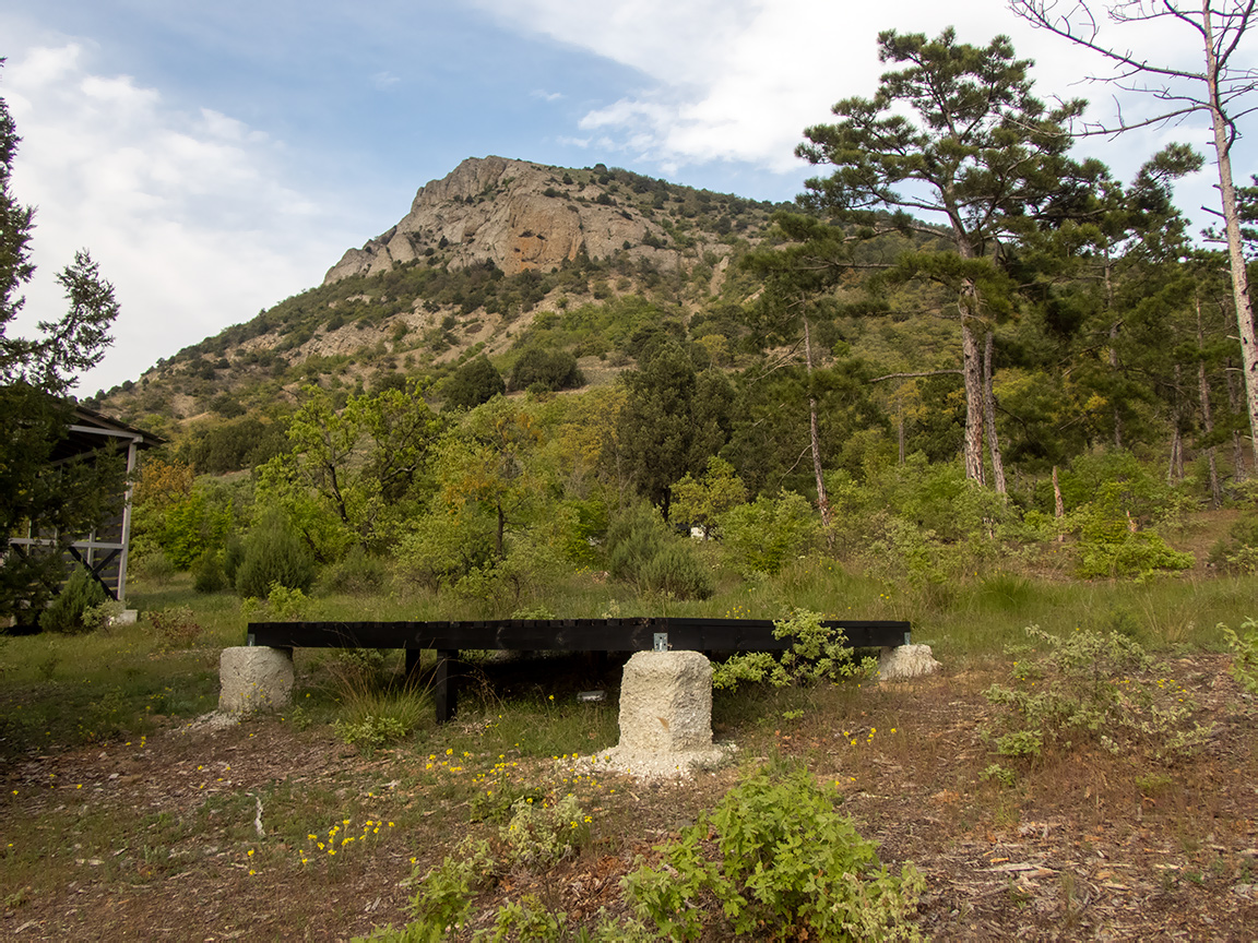 Хребет Токлук-Сырт, image of landscape/habitat.