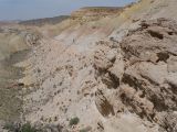 Мадыген, image of landscape/habitat.