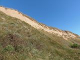 Image of landscape