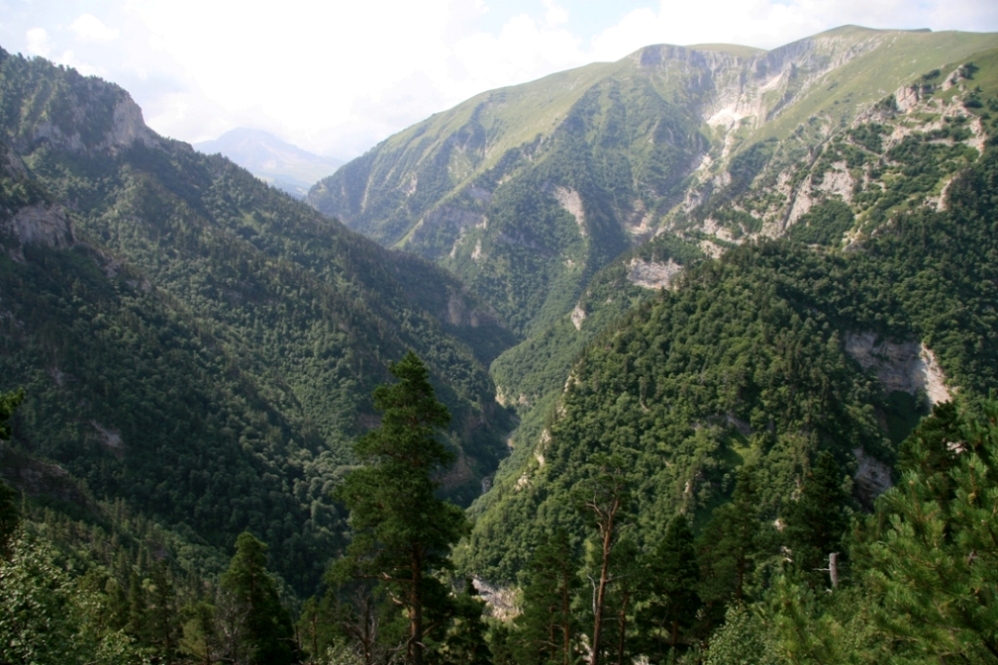 Лагонаки, image of landscape/habitat.