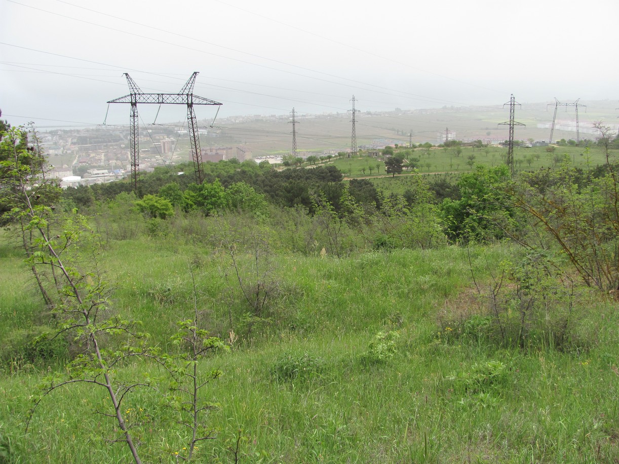 Дербент, image of landscape/habitat.