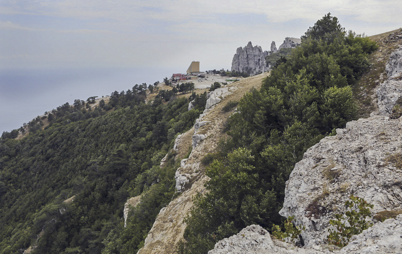 Ай-Петринская яйла, image of landscape/habitat.