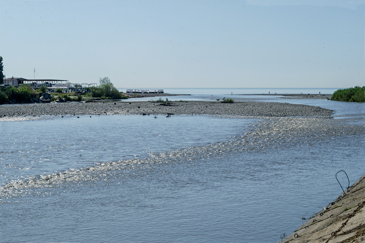 Устье реки Мзымта, image of landscape/habitat.