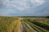 Тузловские склоны, image of landscape/habitat.