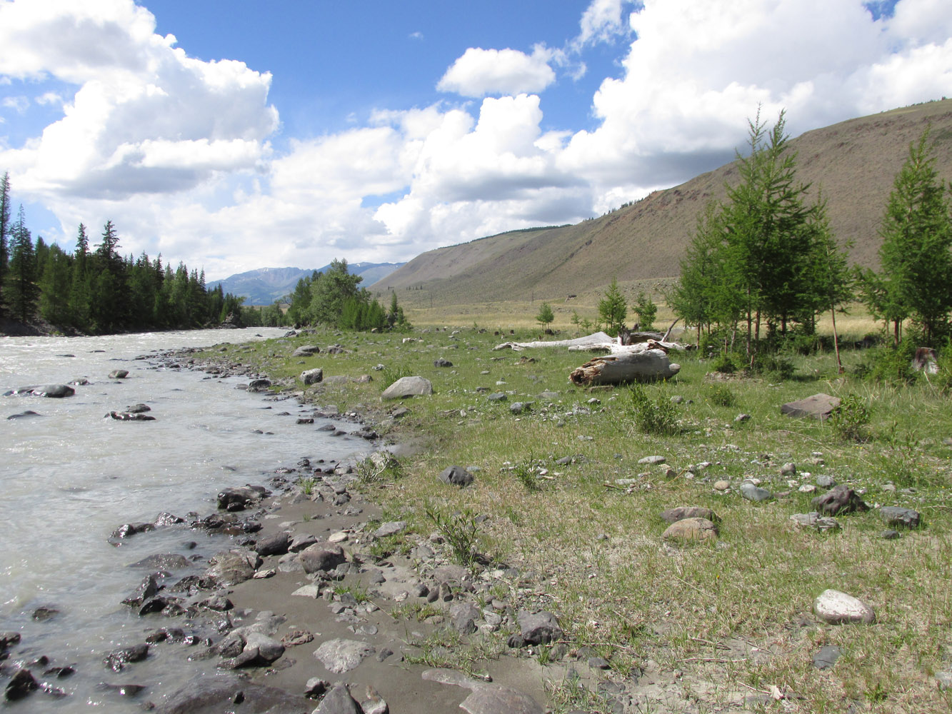 Устье реки Тыдтугем, image of landscape/habitat.