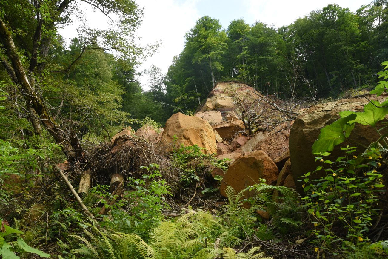 Долина реки Аминовка, image of landscape/habitat.