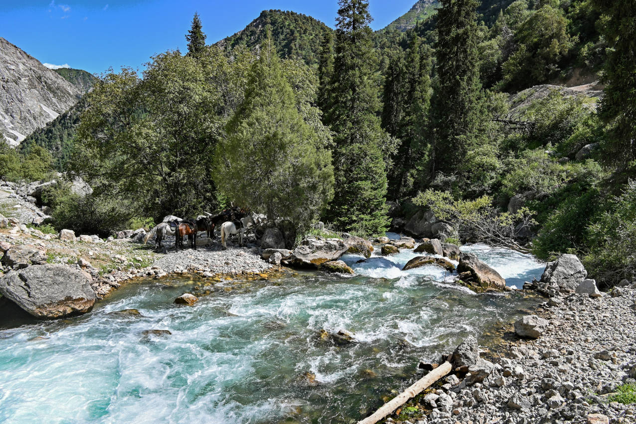 Долина реки Кара-Суу, image of landscape/habitat.