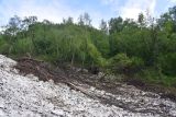 Гора Донгуз-Орун-Гитче-Кара-Баши, изображение ландшафта.