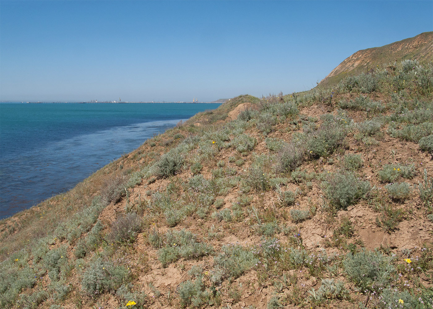 Железный Рог, image of landscape/habitat.