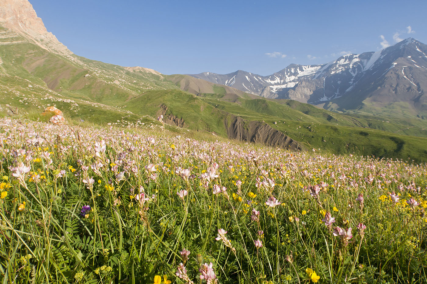 Чараур, image of landscape/habitat.