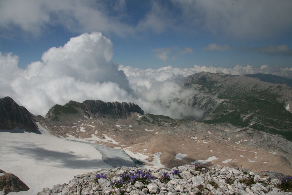 Лагонаки, image of landscape/habitat.