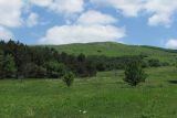 Image of landscape