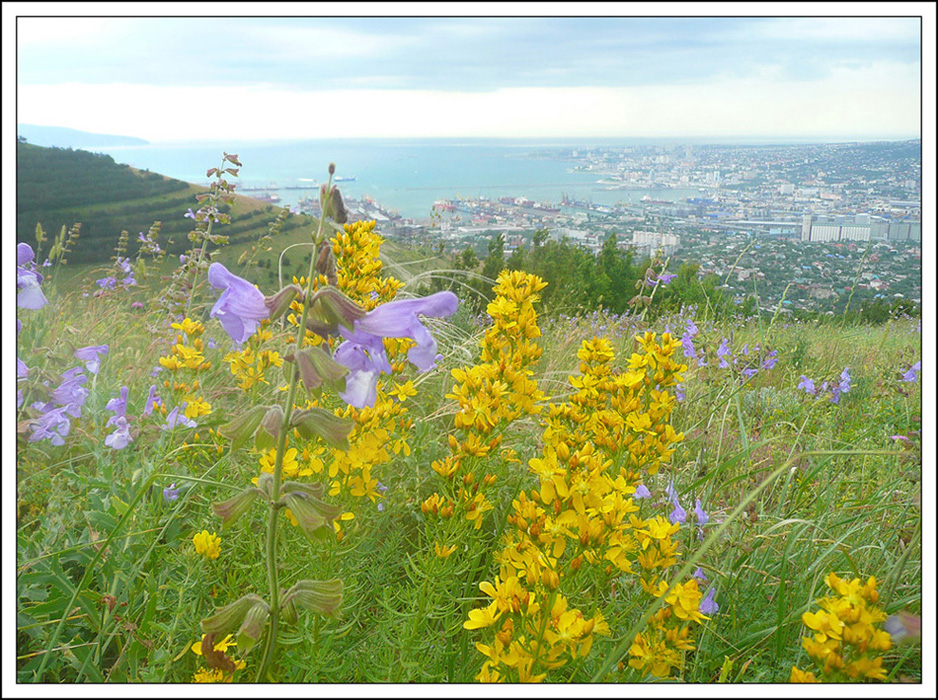 Гора Лысая-Новороссийская, image of landscape/habitat.