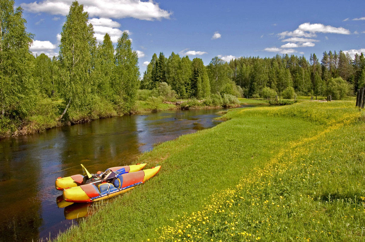 Долина реки Весляна, image of landscape/habitat.