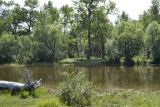 Landscape image