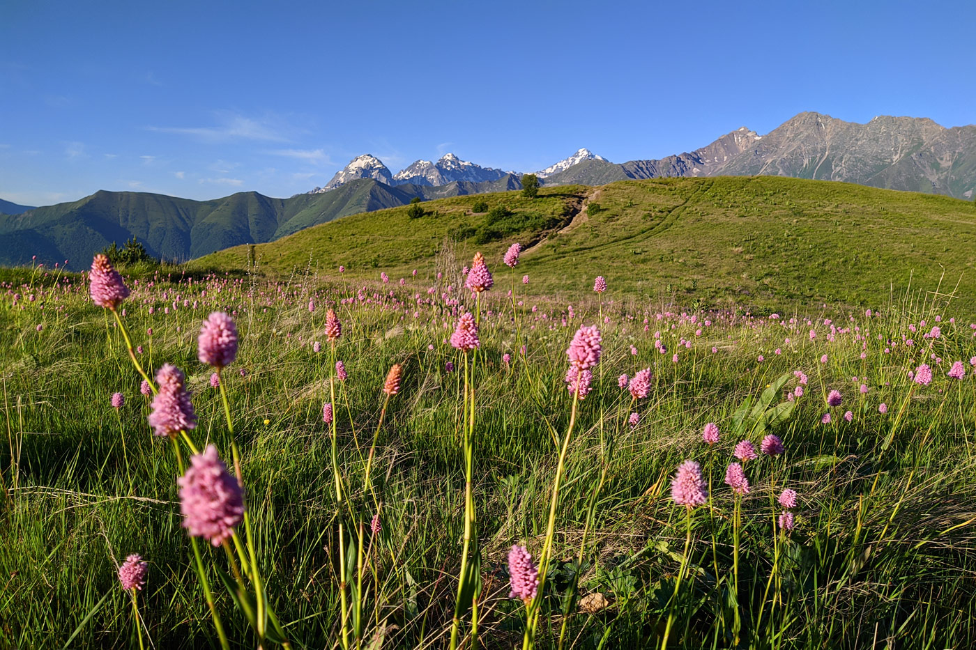 Окрестности с. Ход, image of landscape/habitat.