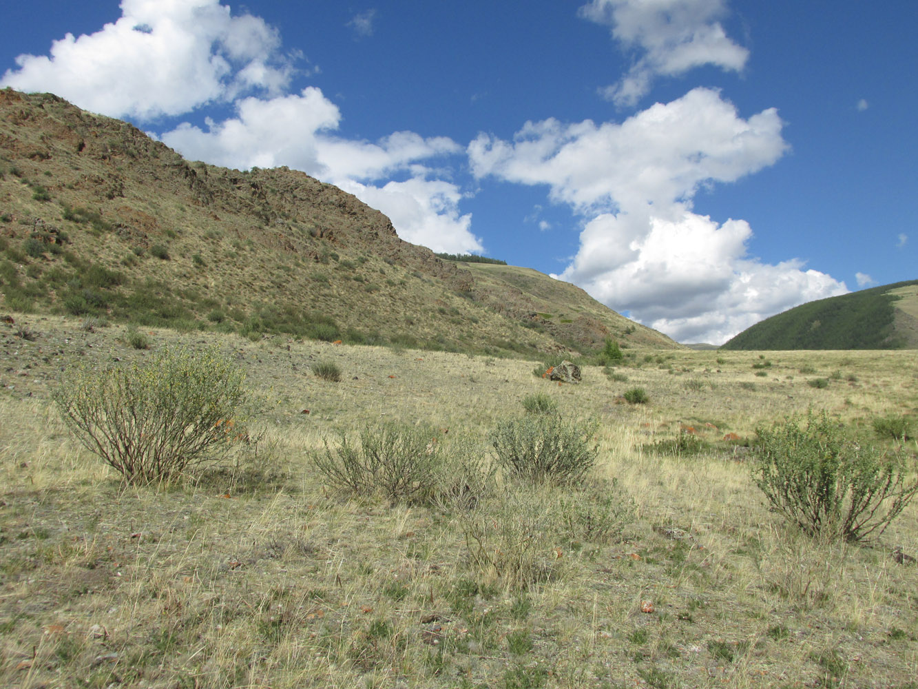 Устье реки Тыдтугем, image of landscape/habitat.