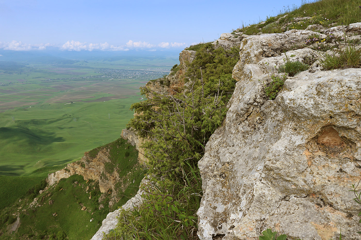 Джангур, image of landscape/habitat.