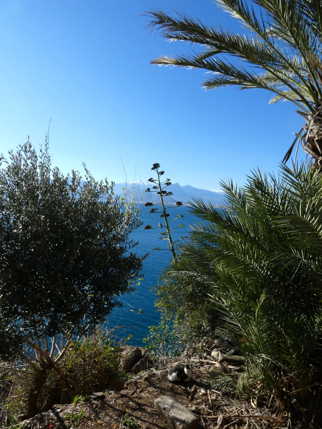 Анталья, image of landscape/habitat.