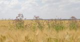 Image of landscape